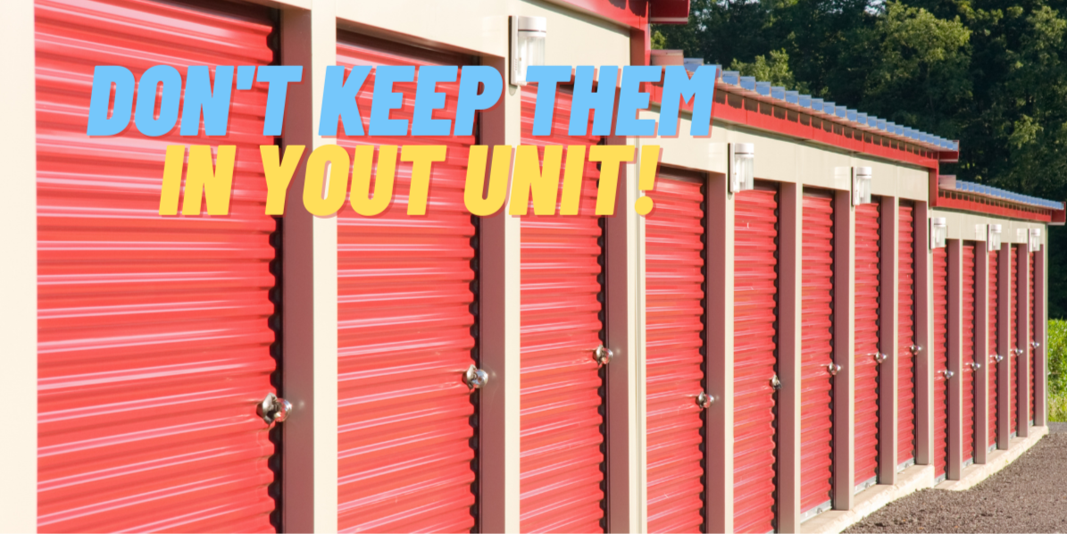 Things You Should Not Put in a Self-Storage Unit Ever